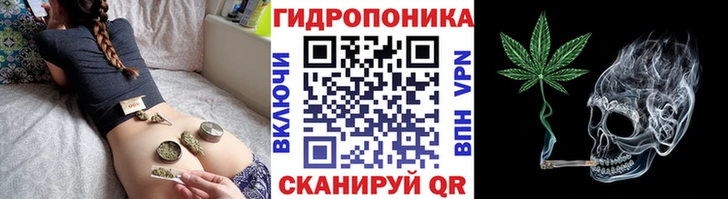 Виды наркотиков купить Чаплыгин Кокаин  Alpha-PVP  Гашиш  МАРИХУАНА  Меф 