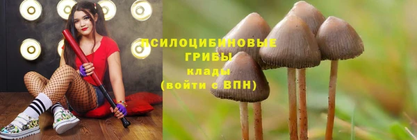 хмурый Майский