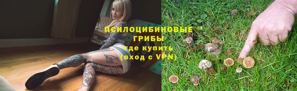 хмурый Майский