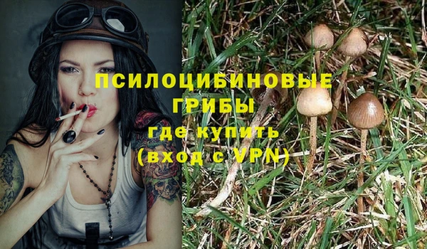 спиды Богородск
